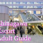 shinagwa escort adult guide