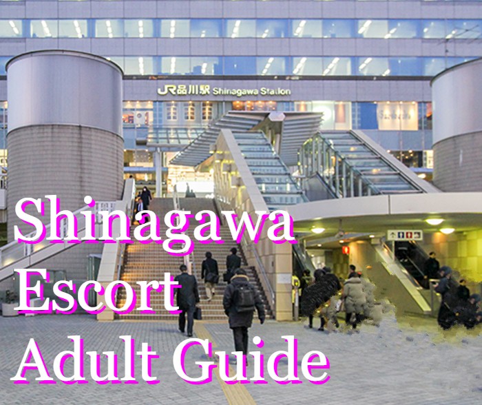 shinagwa escort adult guide